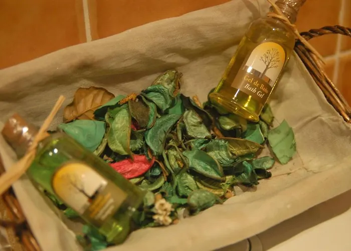 Affittacamere Conde De La Encina 2*